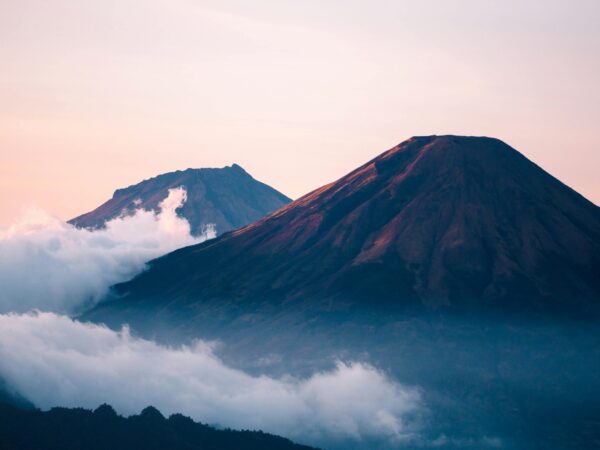 Erek Erek Biawak 4D: Tafsir, Makna, dan Angka Keberuntungan