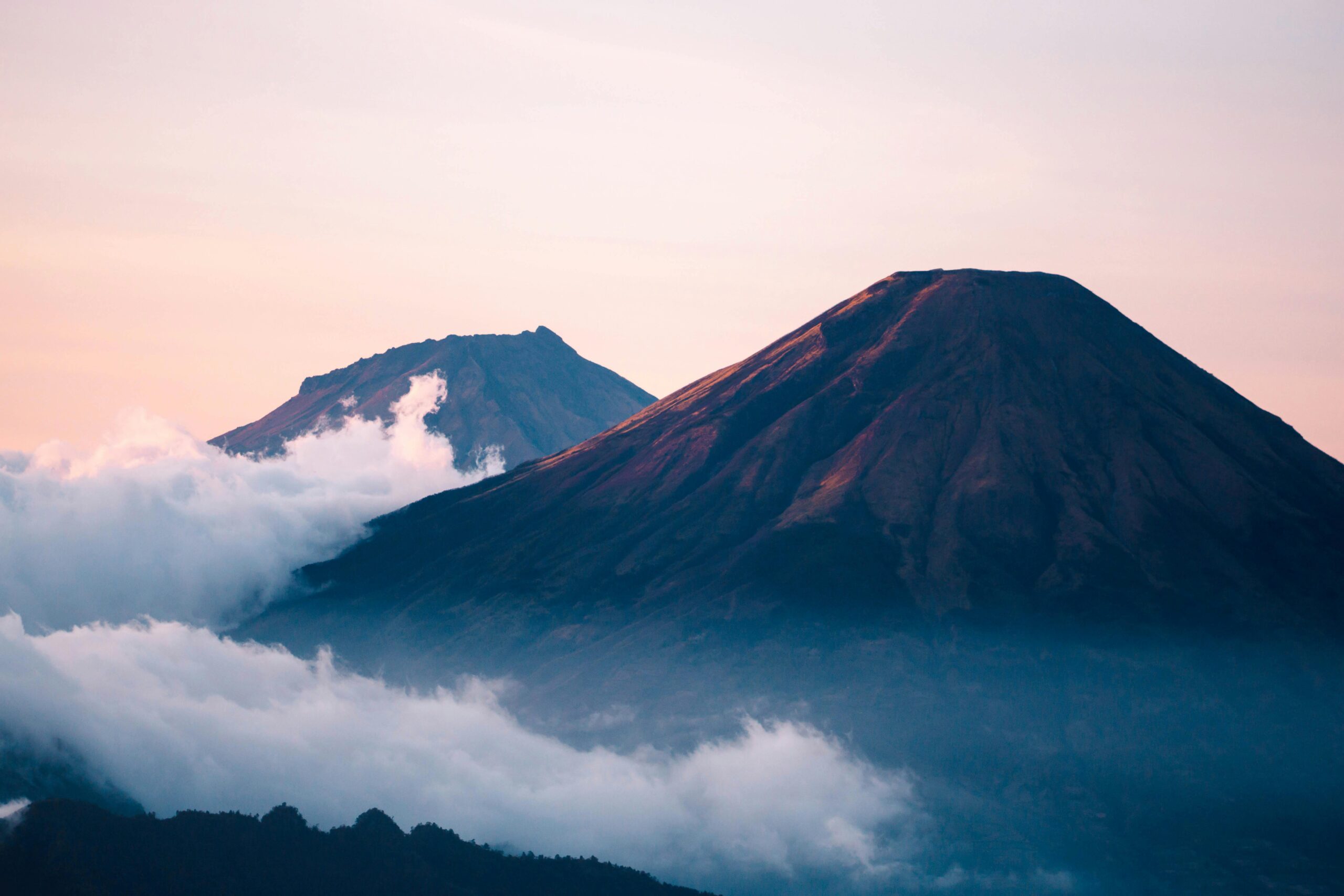Erek Erek Biawak 4D: Tafsir, Makna, dan Angka Keberuntungan